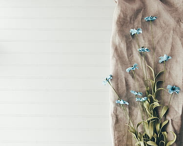 closeup photo of blue petaled flowers on brown fabric thumbnail