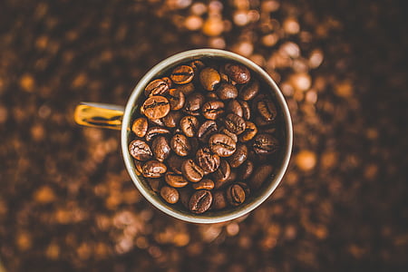 coffee bean in silver mug thumbnail