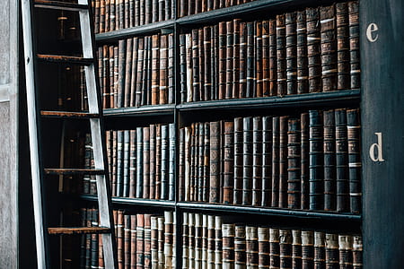 assorted books on bookshelf beside ladder leaning on wall thumbnail