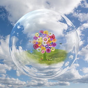 assorted-color daisies and roses inside bubble thumbnail