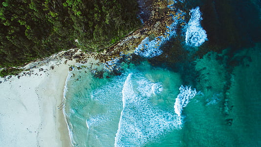 photo of green trees and body of water thumbnail