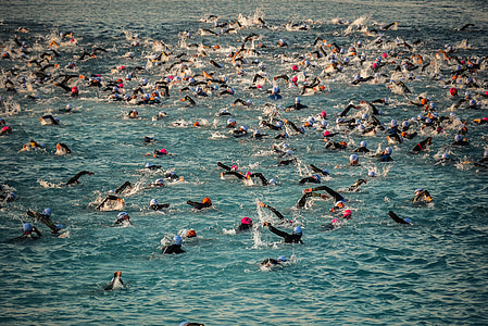 people swimming on sea thumbnail