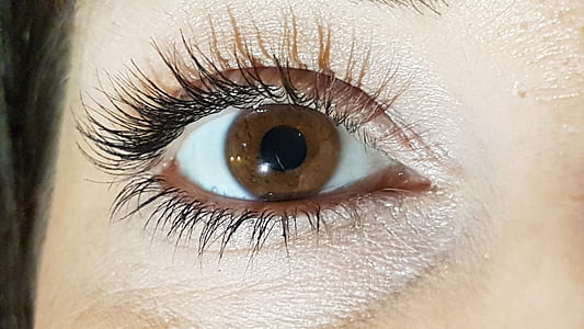 woman's brown eye thumbnail