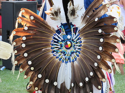 person wearing feather costume thumbnail