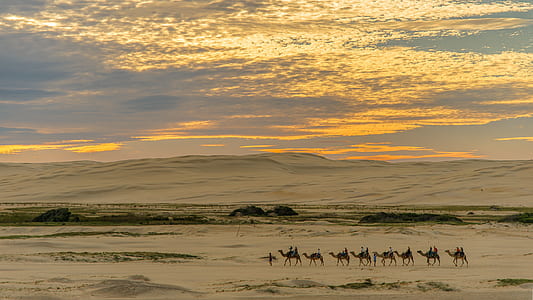 group of people riding a camel thumbnail