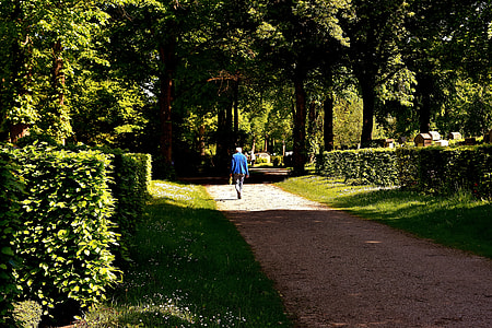 person walking on road between trees thumbnail