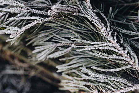 Winter freeze thumbnail