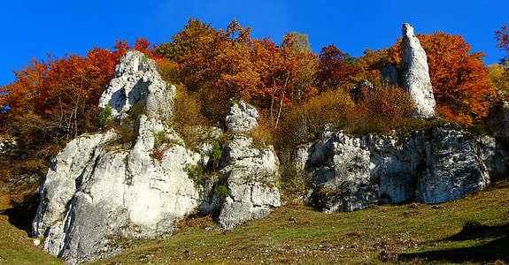 Autumn, Paternity National Park thumbnail