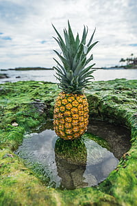 close view of Pineapple on rock above water thumbnail