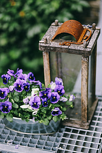 Miscellaneous items in a sunny garden thumbnail
