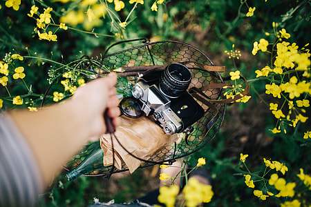 Woman with vintage camera in the field of blooming rapes thumbnail