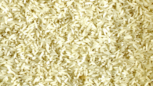 fill the frame photography of rice thumbnail