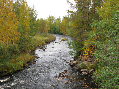 The river Keskijoki in Puolanka, Finland thumbnail