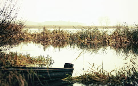 photograph of body of water with grasses thumbnail