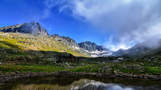 river surrounded leafed plants thumbnail