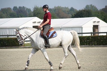 man riding white horse thumbnail