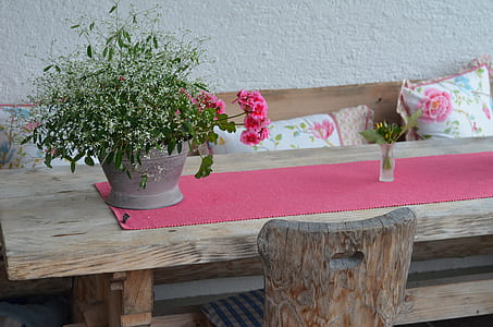 pink flowers with green leaves in gray pot thumbnail