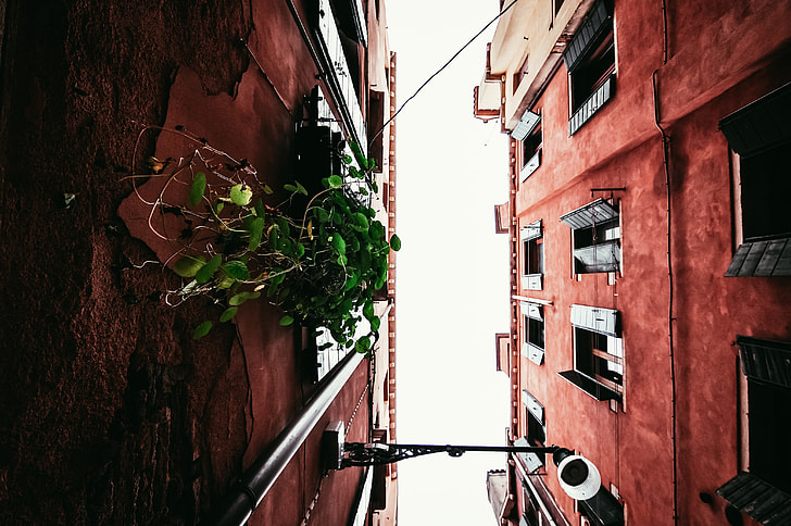 bottom view of brown concrete buildings