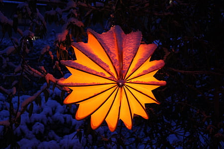orange flower lamp thumbnail