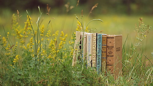 assorted-title books on yellow petaled flower at daytime thumbnail