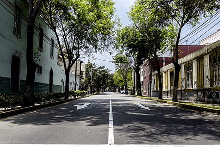 photo of street near building at daytime thumbnail