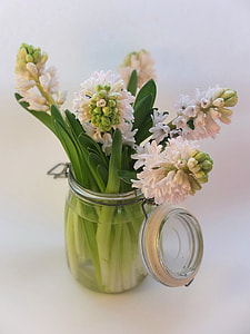 clear glass potted white flowers thumbnail