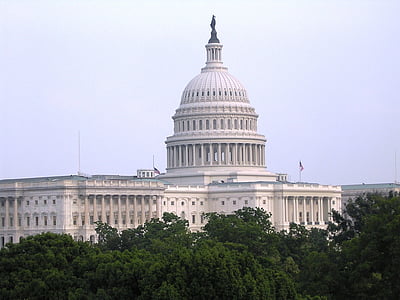 white concrete building thumbnail