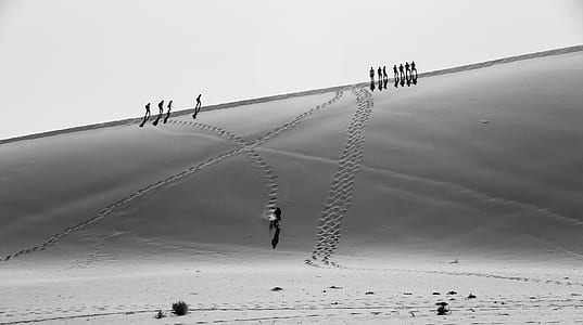 grayscale photo of group of walking people thumbnail