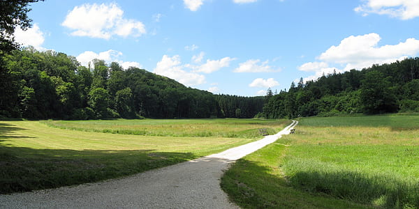 green grass field at daytime thumbnail