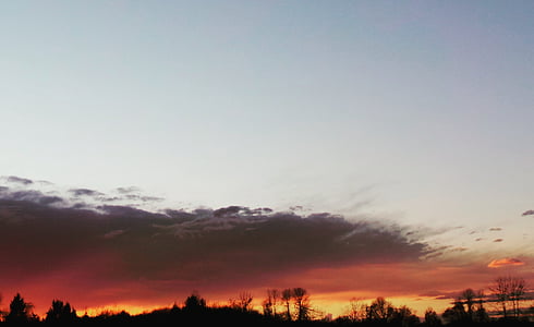 sunset over silhouette of trees thumbnail