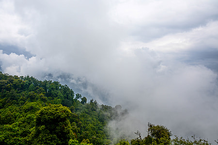 mountain covered by clouds thumbnail