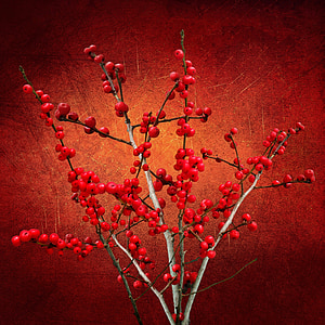 cherry fruits thumbnail