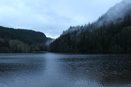 pine trees on mountain near body of water thumbnail