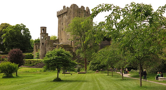 grey concrete castle surrounded with trees thumbnail