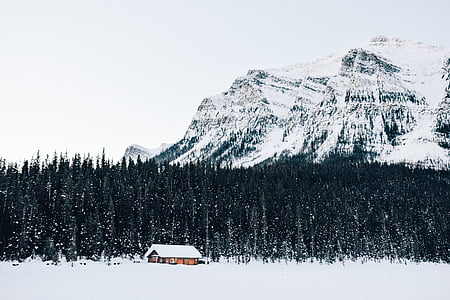 house near trees and mountain during daytime thumbnail