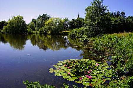 body of water surrounded with green trees thumbnail