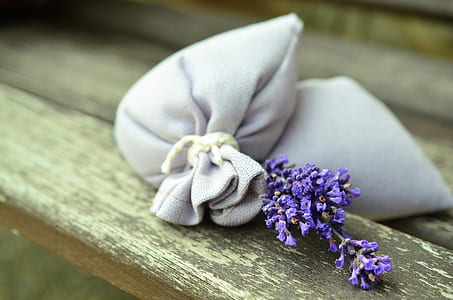 purple petaled flower decor thumbnail