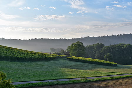 green field under cloudy sky thumbnail
