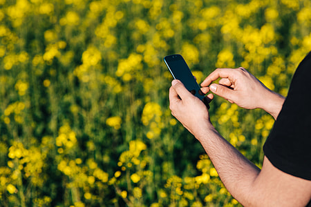 Laptop computer, mobile phone and spring rapes field thumbnail