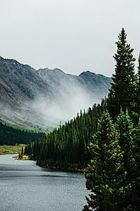 pine trees near mountains under gray skies thumbnail