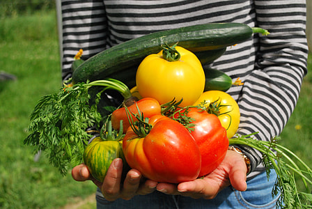 person in white and black striped long sleeve top holding red and yellow bell pepper, celery and zucchini in both hands thumbnail