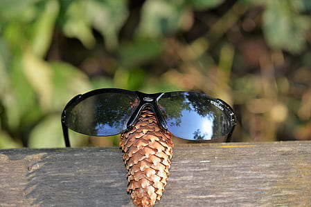 black sunglasses on brown wooden panel thumbnail