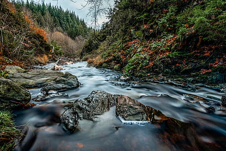 river between trees at daytime thumbnail