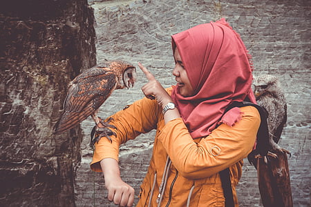 owl perching on woman's arm thumbnail