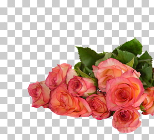 page 28 17 854 holiday card png cliparts for free download uihere