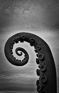 grayscale photo of octopus tail thumbnail