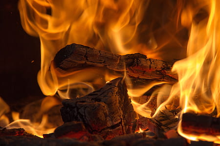 burning firewods thumbnail