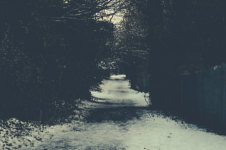 road covered in snow thumbnail
