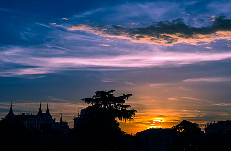 silhouette of trees near building at golden hour thumbnail