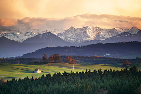 green forest in front of mountain during sunset thumbnail